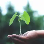 fdbf647378a64ac983f7ff3b5dd95ca7_b6cf35fd44