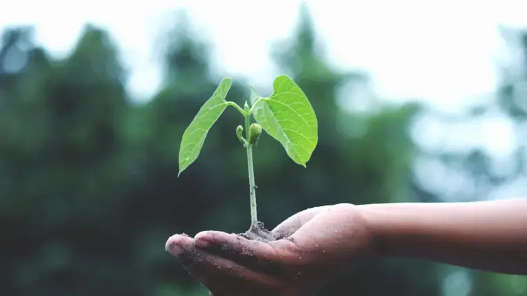 fdbf647378a64ac983f7ff3b5dd95ca7_b6cf35fd44